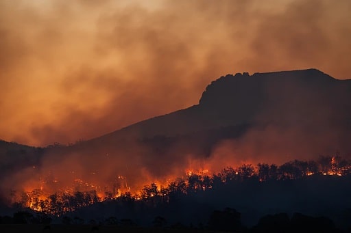 IPCC Climate Change Report and What It Means For Our Future-min IPCC Climate Change Report and What It Means For Our Future