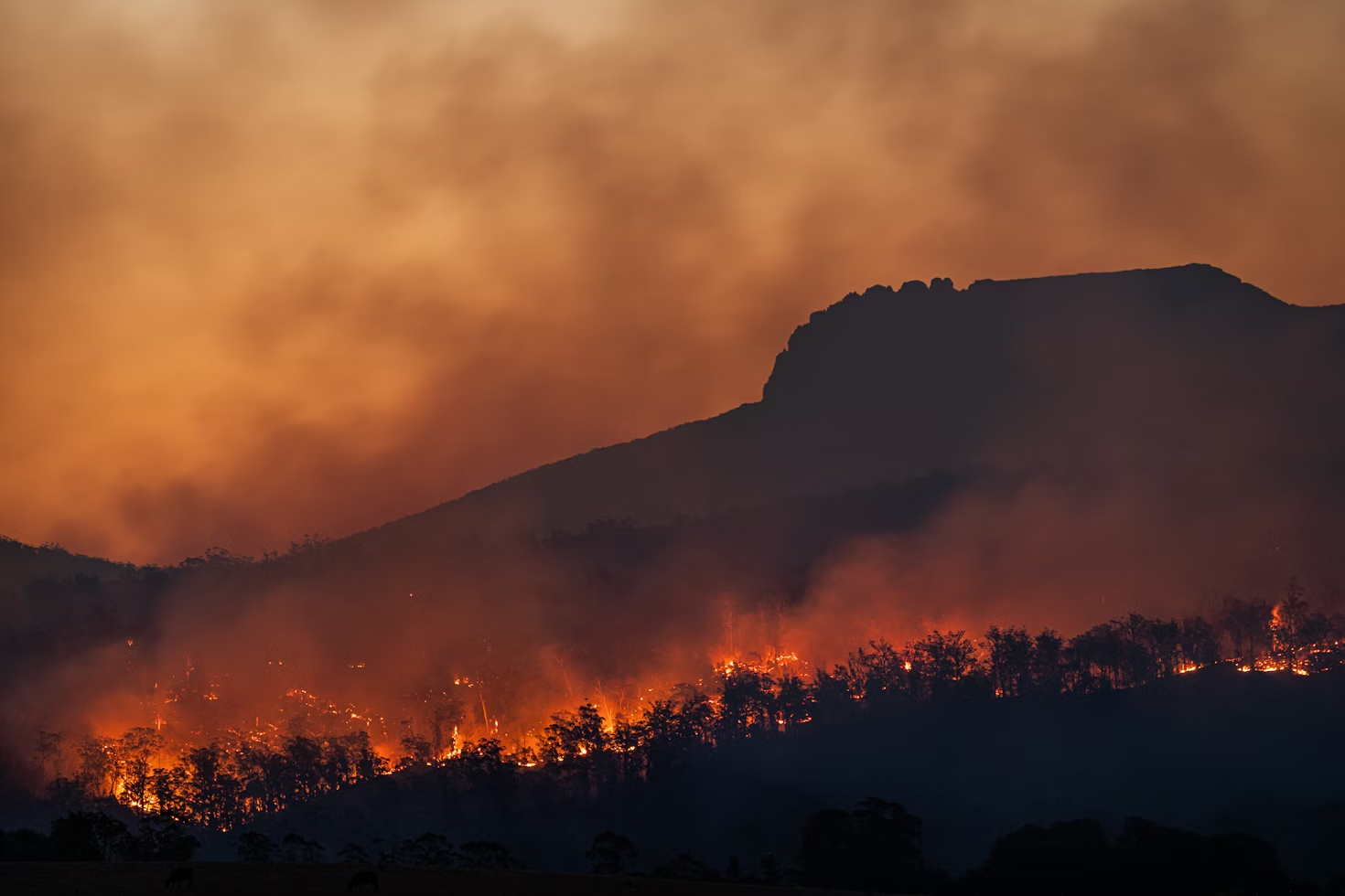 Climate Change as a National Security Issue