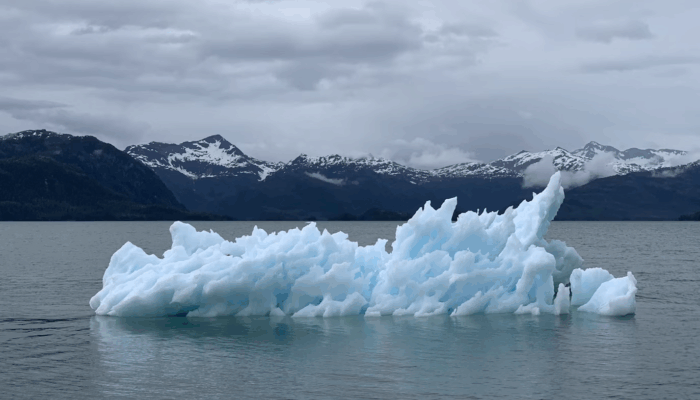 The New Climate Realism Initiative Seeks to Redirect US Efforts in Combating Climate Change