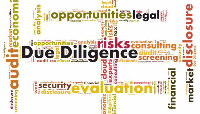 What is Due Diligence